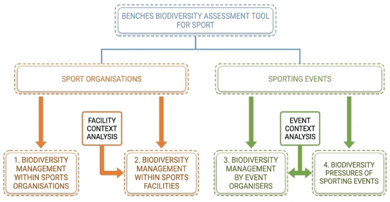 BENCHES Assessment Flowchart